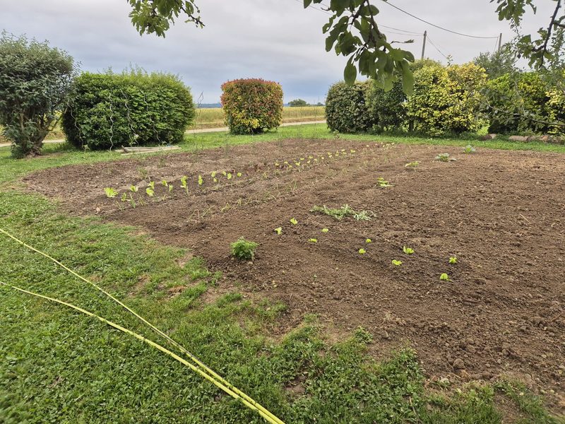 Potager créé par D.M.S avec rangs plantés — Lauragais