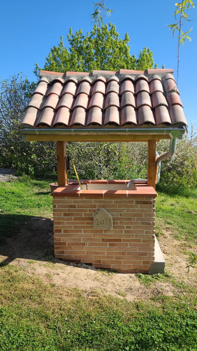 Puits maçonné, autre angle sous le saule — D.M.S